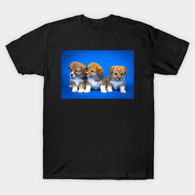 Puppies T-Shirt by kawaii_shop